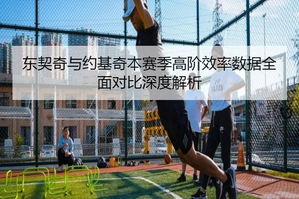 东契奇与约基奇本赛季高阶效率数据全面对比深度解析