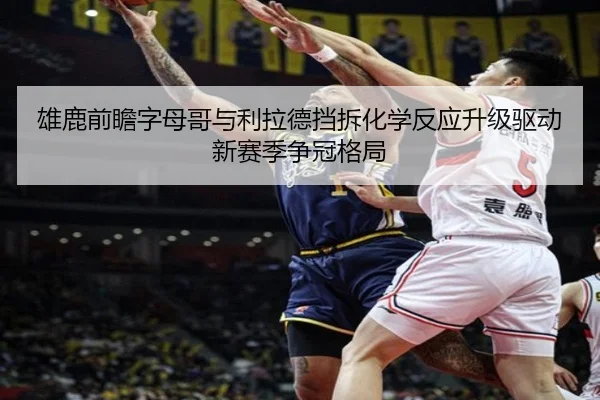 雄鹿前瞻字母哥与利拉德挡拆化学反应升级驱动新赛季争冠格局（kaiyun）